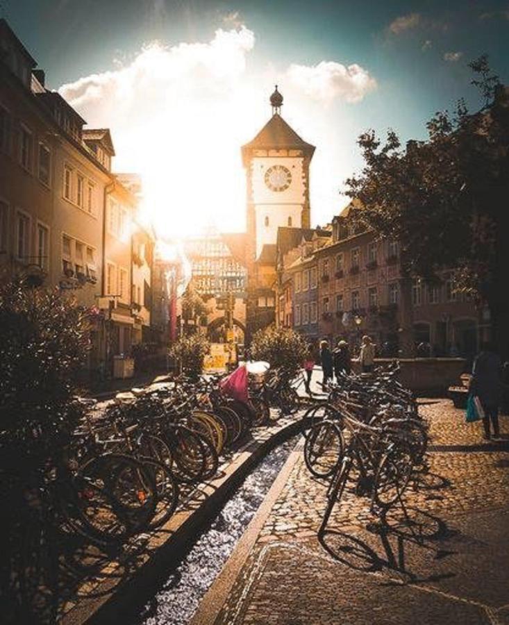 Luxus Apartment Colloseum In Der Stadt Freiburg im Breisgau Dış mekan fotoğraf