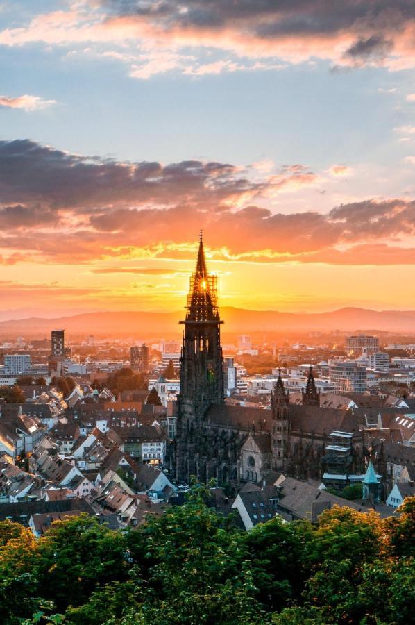 Luxus Apartment Colloseum In Der Stadt Freiburg im Breisgau Dış mekan fotoğraf